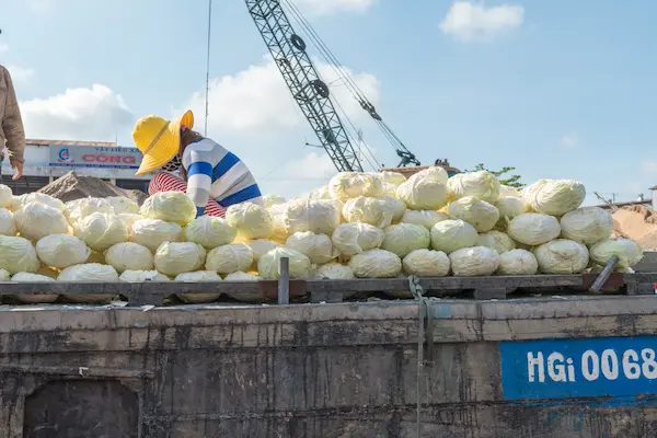 Cómo influye el transporte en la exportación de harina de pescado