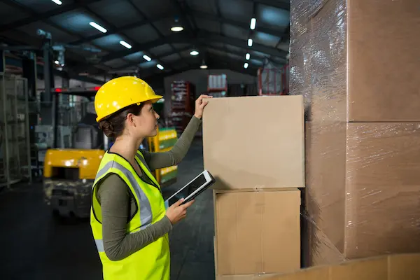 Cuáles son las etapas de los procesos de distribución