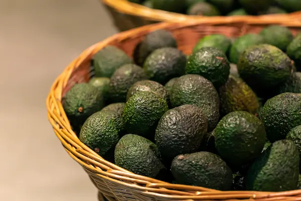 Cómo es el proceso de exportación de palta