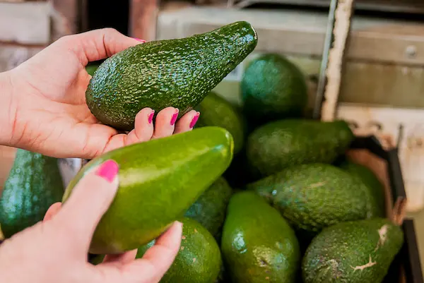 Requisitos para la exportación de palta